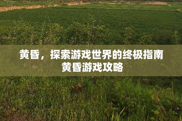 黄昏，探索游戏世界的终极指南 黄昏游戏攻略