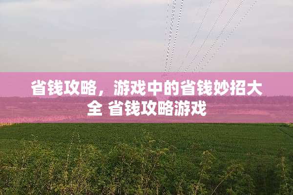 省钱攻略，游戏中的省钱妙招大全 省钱攻略游戏
