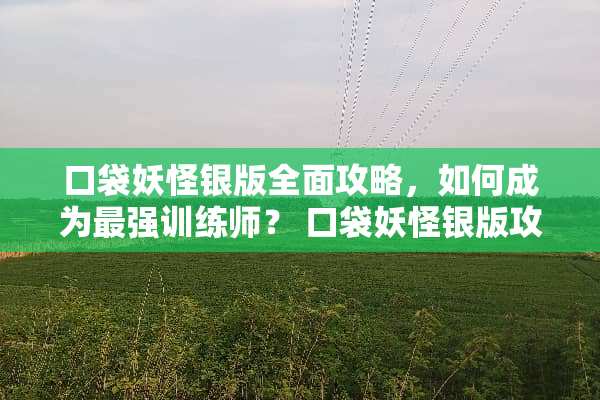 口袋妖怪银版全面攻略，如何成为最强训练师？ 口袋妖怪银版攻略