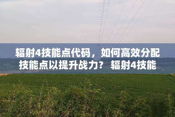 辐射4技能点代码，如何高效分配技能点以提升战力？ 辐射4技能点代码