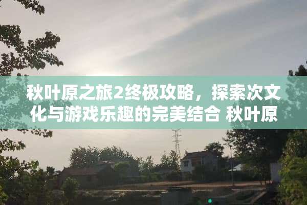 秋叶原之旅2终极攻略，探索次文化与游戏乐趣的完美结合 秋叶原之旅2攻略