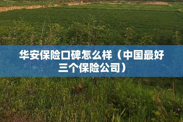 华安保险口碑怎么样（中国最好三个保险公司）