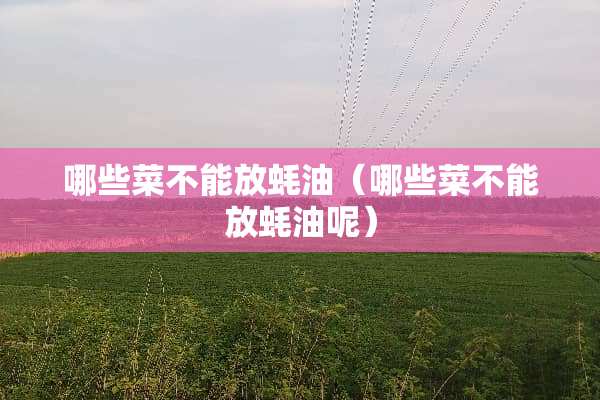 哪些菜不能放蚝油（哪些菜不能放蚝油呢）