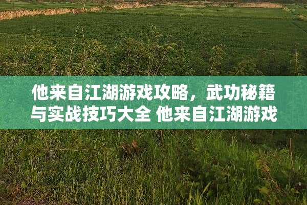 他来自江湖游戏攻略，武功秘籍与实战技巧大全 他来自江湖游戏攻略武功
