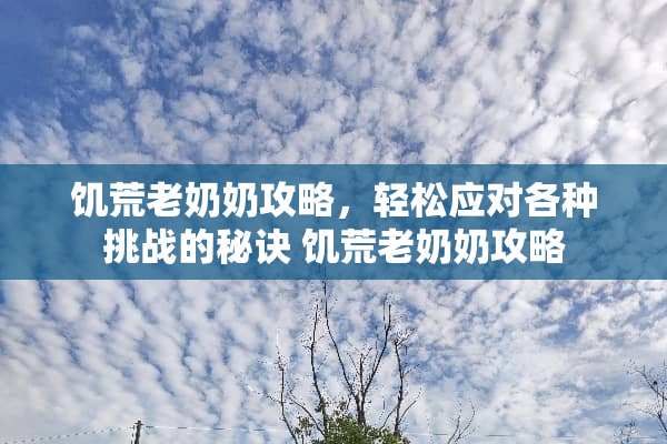 饥荒老奶奶攻略，轻松应对各种挑战的秘诀 饥荒老奶奶攻略