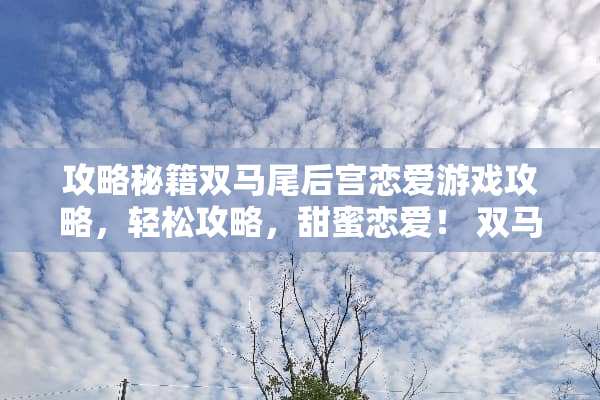 攻略秘籍双马尾后宫恋爱游戏攻略，轻松攻略，甜蜜恋爱！ 双马尾后宫恋爱游戏攻略