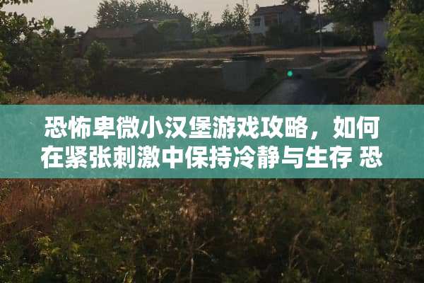 恐怖卑微小汉堡游戏攻略,如何在紧张刺激中保持冷静与生存 恐怖卑微小汉堡游戏攻略