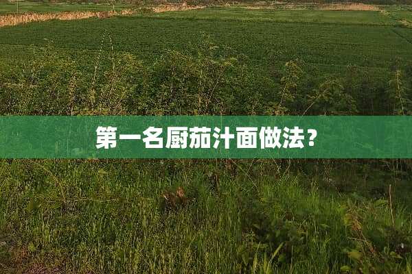 第一名厨茄汁面做法？