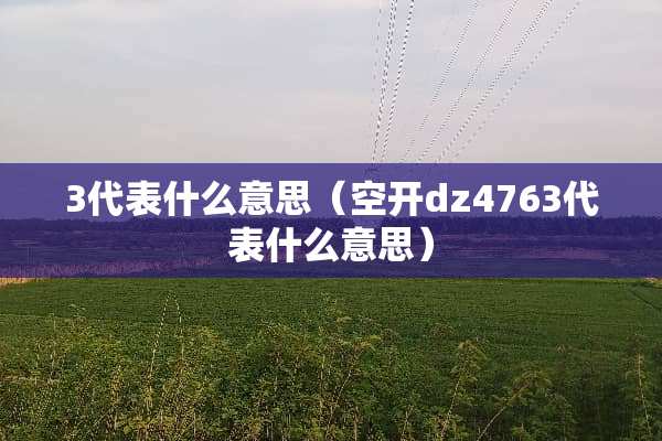 3代表什么意思（空开dz4763代表什么意思）