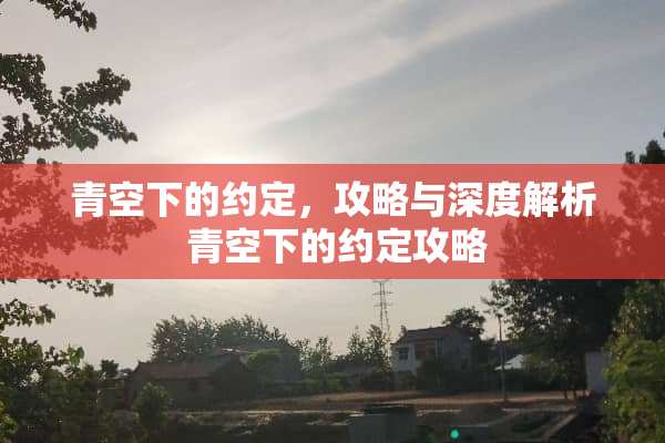 青空下的约定，攻略与深度解析 青空下的约定攻略
