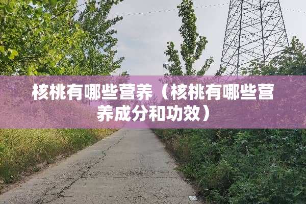 核桃有哪些营养（核桃有哪些营养成分和功效）