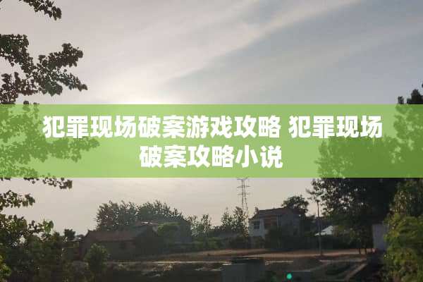 犯罪现场破案游戏攻略 犯罪现场破案攻略小说
