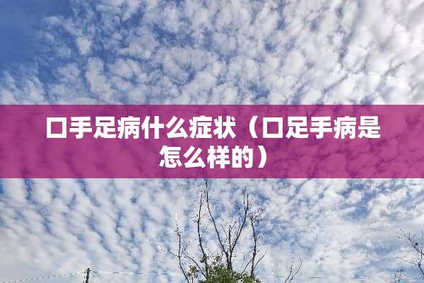 口手足病什么症状（口足手病是怎么样的）