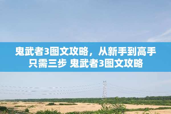 鬼武者3图文攻略，从新手到高手只需三步 鬼武者3图文攻略