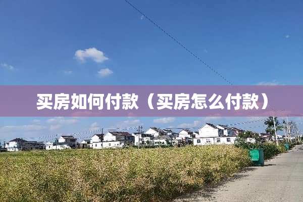 买房如何付款（买房怎么付款）