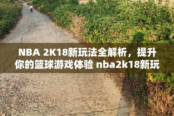 NBA 2K18新玩法全解析,提升你的篮球游戏体验 nba2k18新玩法 NBA 2K18新玩法全解析,提升你的篮球游戏体验 nba2k18新玩法