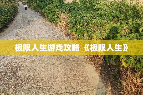 极限人生游戏攻略 《极限人生》