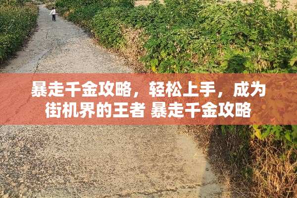 暴走千金攻略，轻松上手，成为街机界的王者 暴走千金攻略