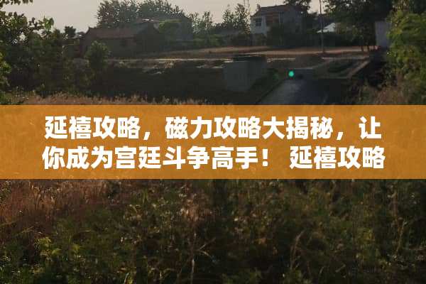 延禧攻略，磁力攻略大揭秘，让你成为宫廷斗争高手！ 延禧攻略磁力