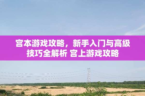 宫本游戏攻略,新手入门与高级技巧全解析 宫上游戏攻略 宫本游戏攻略,新手入门与高级技巧全解析 宫上游戏攻略