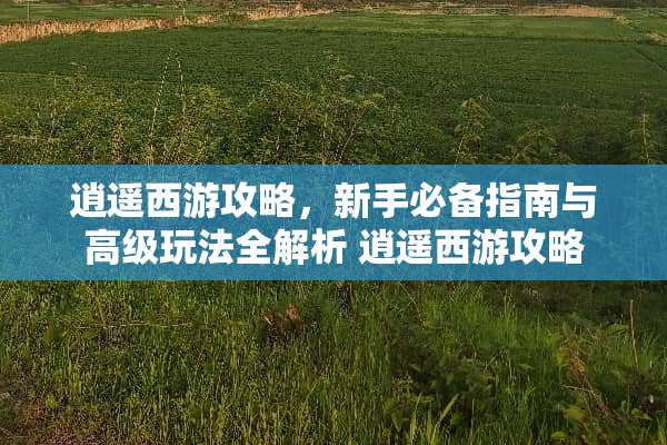 逍遥西游攻略，新手必备指南与高级玩法全解析 逍遥西游攻略