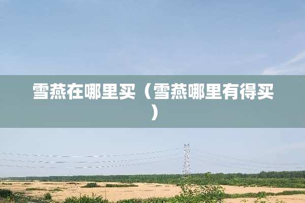 雪燕在哪里买（雪燕哪里有得买）