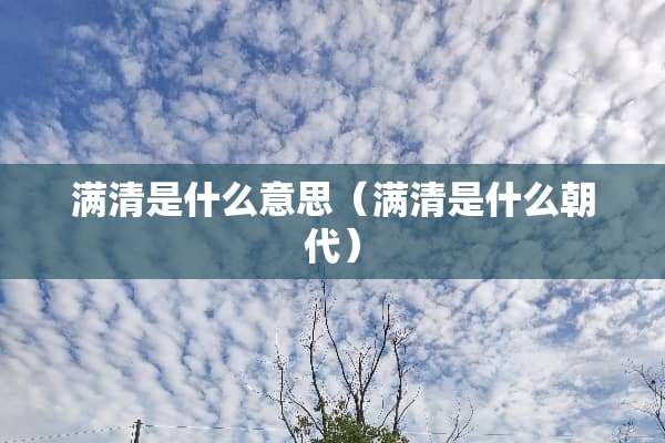满清是什么意思（满清是什么朝代）