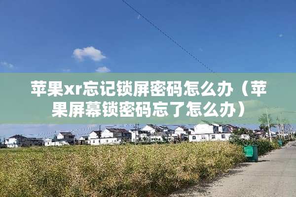 苹果xr忘记锁屏密码怎么办（苹果屏幕锁密码忘了怎么办）
