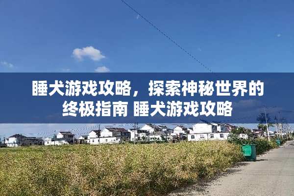 睡犬游戏攻略，探索神秘世界的终极指南 睡犬游戏攻略