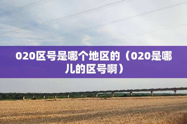 020区号是哪个地区的（020是哪儿的区号啊）