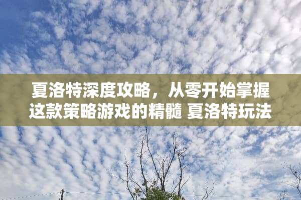夏洛特深度攻略，从零开始掌握这款策略游戏的精髓 夏洛特玩法教学