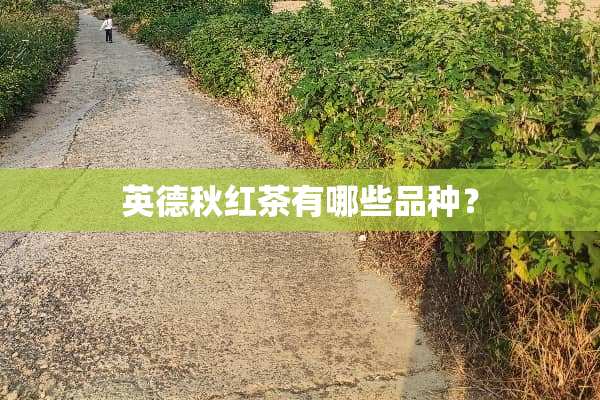 英德秋红茶有哪些品种？