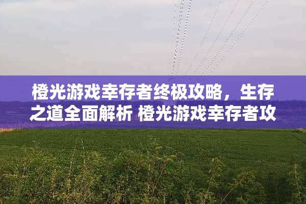 橙光游戏幸存者终极攻略，生存之道全面解析 橙光游戏幸存者攻略