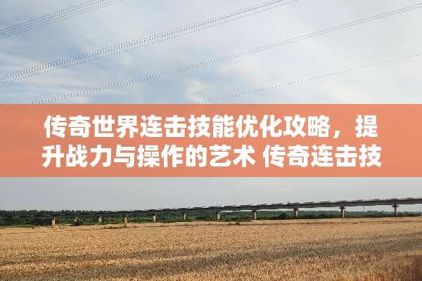 传奇世界连击技能优化攻略,提升战力与操作的艺术 传奇连击技能 传奇世界连击技能优化攻略,提升战力与操作的艺术 传奇连击技能