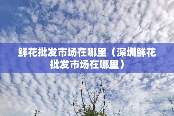 鲜花批发市场在哪里（深圳鲜花批发市场在哪里）