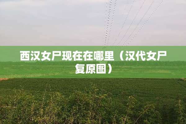 西汉女尸现在在哪里（汉代女尸复原图）