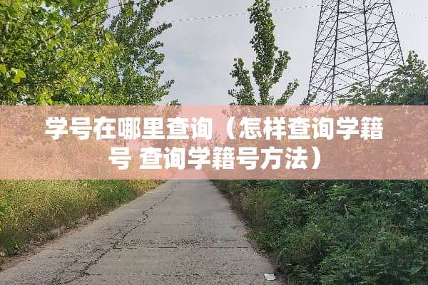 学号在哪里查询（怎样查询学籍号 查询学籍号方法）