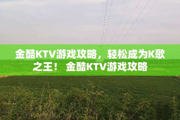 金酷KTV游戏攻略，轻松成为K歌之王！ 金酷KTV游戏攻略