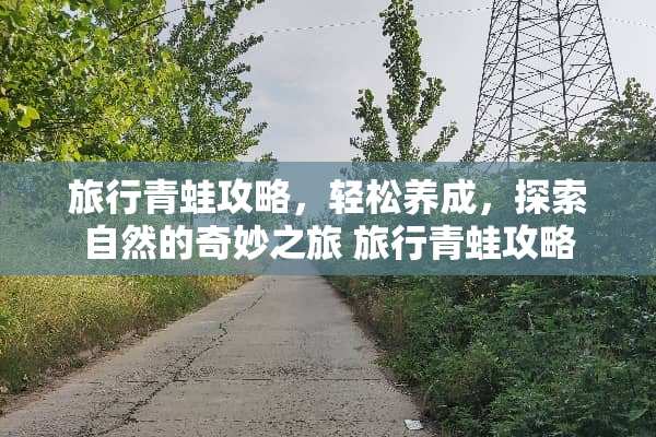 旅行青蛙攻略,轻松养成,探索自然的奇妙之旅 旅行青蛙攻略 旅行青蛙攻略,轻松养成,探索自然的奇妙之旅 旅行青蛙攻略