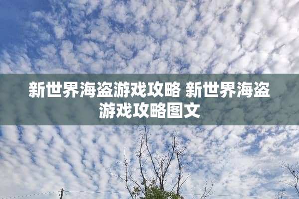 新世界海盗游戏攻略 新世界海盗游戏攻略图文