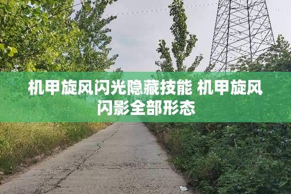 机甲旋风闪光隐藏技能 机甲旋风闪影全部形态