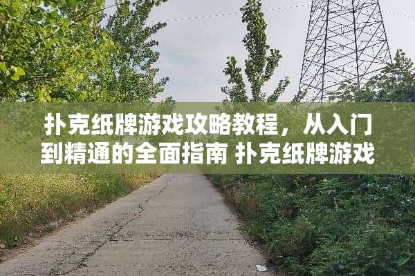 **纸牌游戏攻略教程，从入门到精通的全面指南**纸牌游戏攻略教程