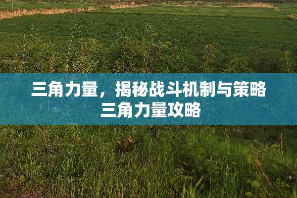 三角力量，揭秘战斗机制与策略 三角力量攻略