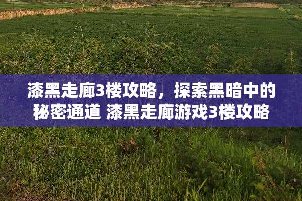 漆黑走廊3楼攻略,探索黑暗中的秘密通道 漆黑走廊游戏3楼攻略 漆黑走廊3楼攻略,探索黑暗中的秘密通道 漆黑走廊游戏3楼攻略