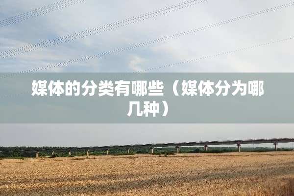 媒体的分类有哪些（媒体分为哪几种）