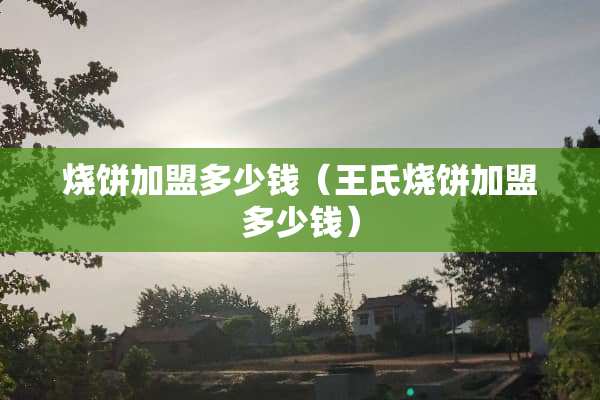 烧饼加盟多少钱（王氏烧饼加盟多少钱）