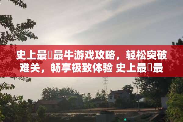 史上最囧最牛游戏攻略，轻松突破难关，畅享极致体验 史上最囧最牛游戏攻略