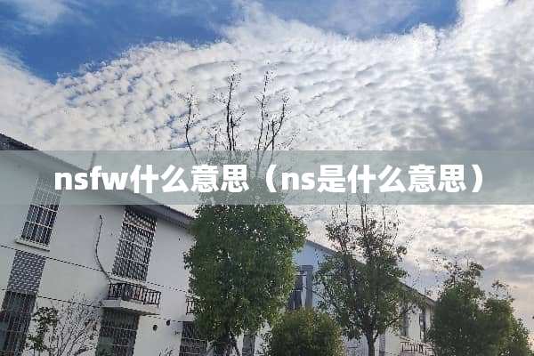 nsfw什么意思（ns是什么意思）