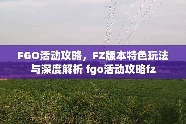 FGO活动攻略，FZ版本特色玩法与深度解析 fgo活动攻略fz