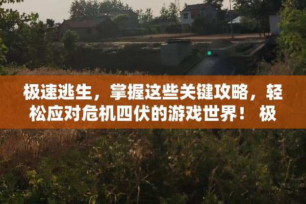 极速逃生，掌握这些关键攻略，轻松应对危机四伏的游戏世界！ 极速逃生攻略